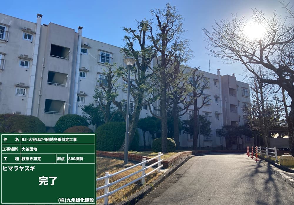 マンション植栽