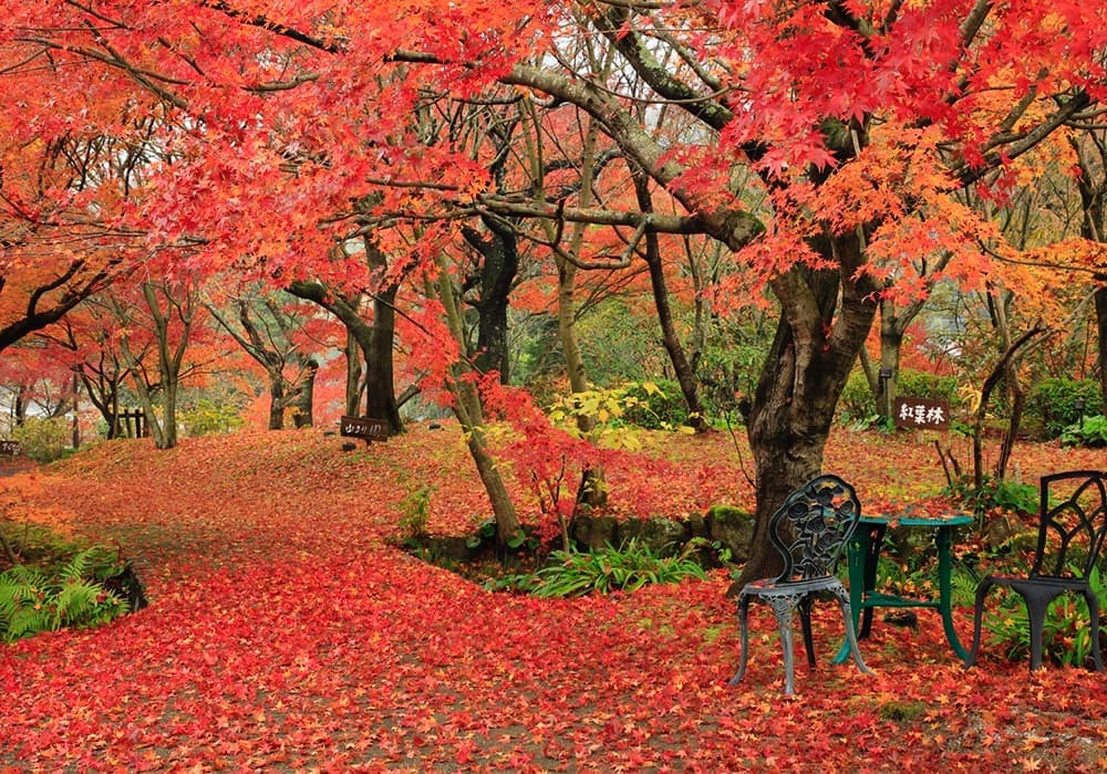 公共公園