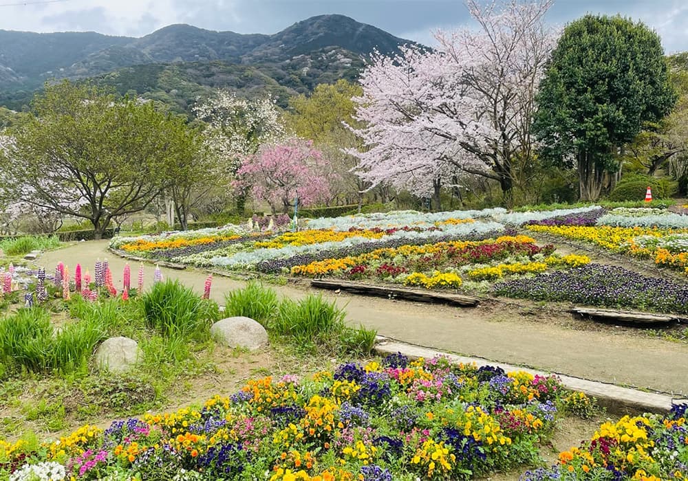 公共公園